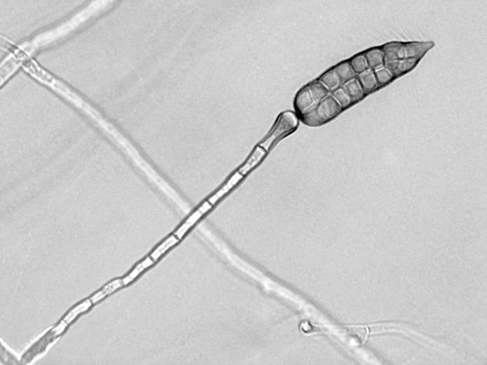 casino online game casino online game